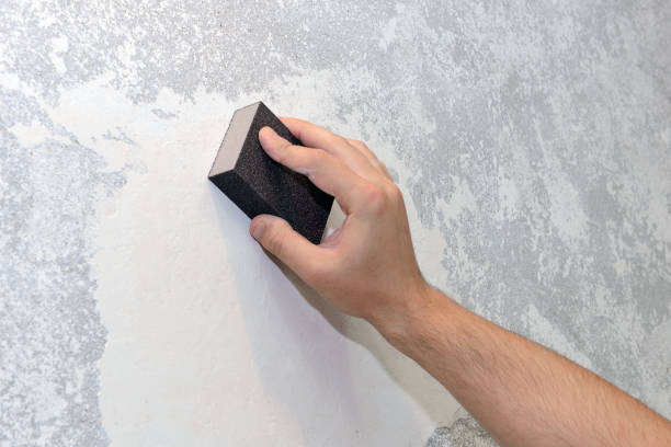 Trusted Tecumseh, OK Mold Removal Experts