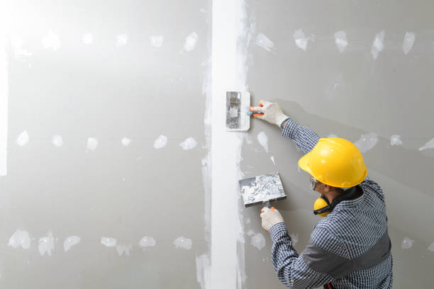 Forensic Mold Investigation in Tecumseh, OK